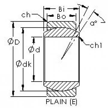 Bearing GE6E AST