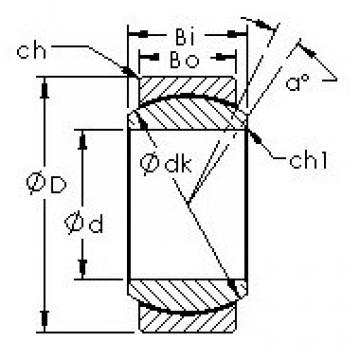 Bearing GE12N AST