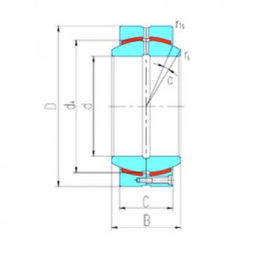 Bearing GEH100HCS LS