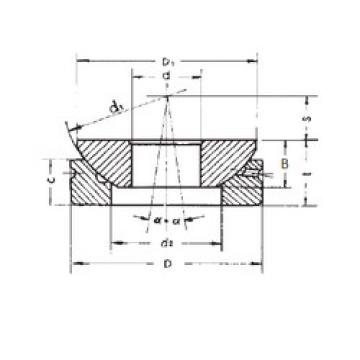 Plain Bearings GX100S FBJ