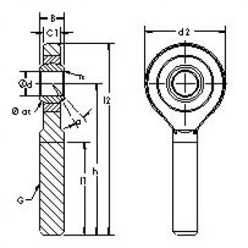 Plain Bearings SAZP6S AST