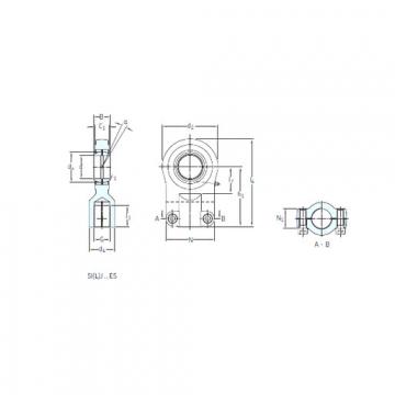 Bearing SILJ 100 ES SKF