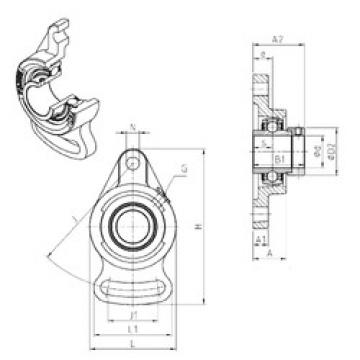 Bearing EXFA205 SNR