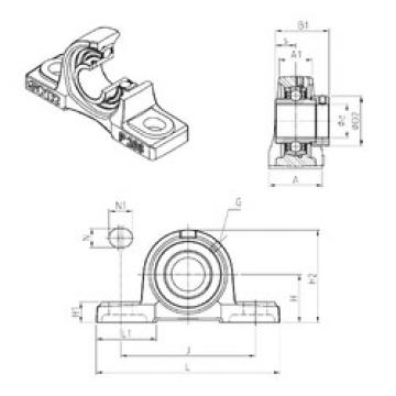 Bearing EXP202 SNR