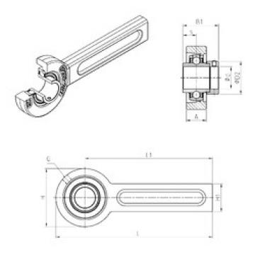 Bearing EXSP206 SNR