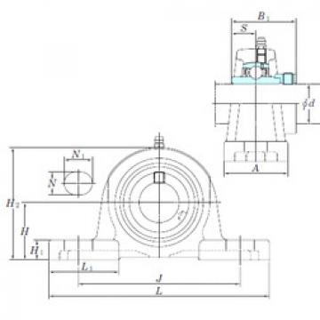 Bearing NAP202-10 KOYO