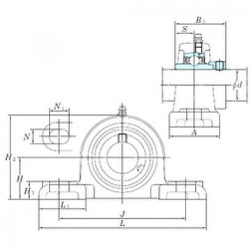 Bearing NAPK203 KOYO