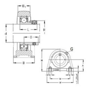 Bearing PSHE12 NKE