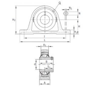 Bearing RAKY1 INA