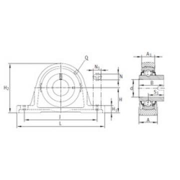 Bearing RASEL20-N INA