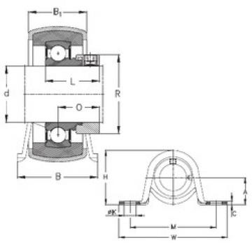 Bearing RPB17 NKE