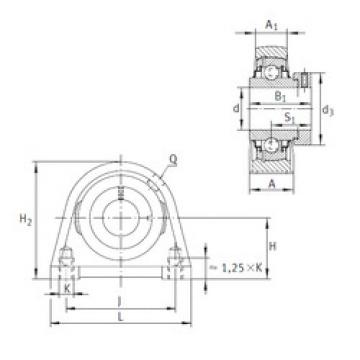 Bearing RSHE60-N INA