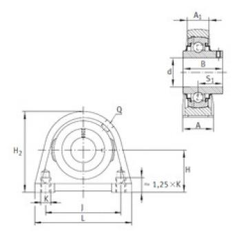 Bearing RSHEY25-N INA