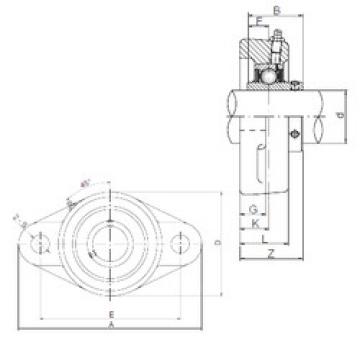 Bearing UCFL201 CX