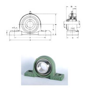 Bearing UCP206 CRAFT