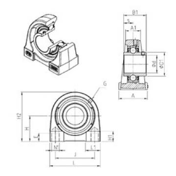 Bearing UCPG204 SNR