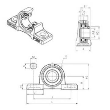 Bearing USP206 SNR