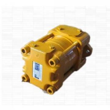 SUMITOMO origin Japan SDH4SGS-ACB-06C-220-T-20L SD Series Gear Pump