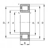 Bearing NJ213-E-TVP2 FAG