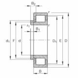 Bearing NJ213-E-TVP2 + HJ213-E FAG