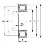 Bearing NUP203-E-TVP2 FAG