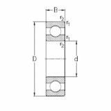 Bearing 61811 NKE