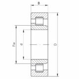 Bearing NJ215 E CX