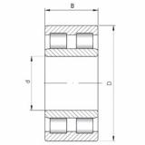 Bearing NNU4920 V ISO