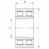 Bearing NNU4921K V ISO