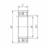 Bearing NNU4920 NACHI