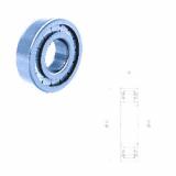 Bearing NU2306F/C3 Fersa