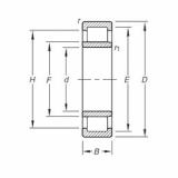 Bearing NU2209E.TVP Timken