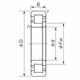 Bearing NUP 10/500 NACHI