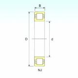 Bearing NUP 19/600 ISB