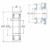 Bearing NUP 205 EW NSK