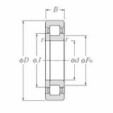 Bearing NUP204E NTN