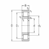 Bearing NUP206-E-MPA NKE