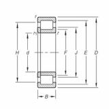 Bearing NUP205E.TVP Timken