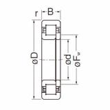 Bearing NUP208EG NACHI