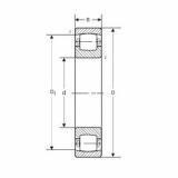 Bearing 20204 SIGMA