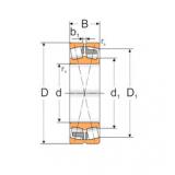 Bearing 22212 MAW33 MPZ