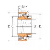 Bearing 22213 ACKMBW33+H313 MPZ