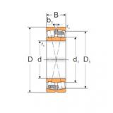 Bearing 22312 MAW33 MPZ