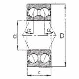 Bearing 5303ZZ FBJ