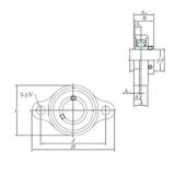 Bearing USFL004S6 KOYO